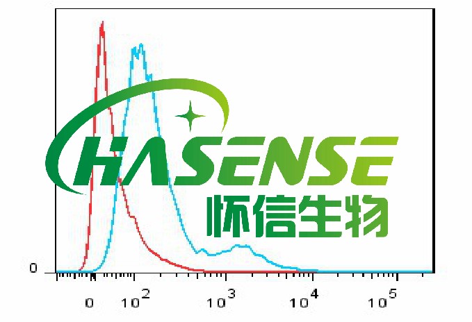 ROS分析-細胞內活性氧分析測定